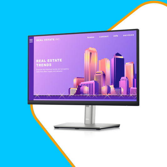 Dell P2422H 24" FHD (1080p) IPS Monitor